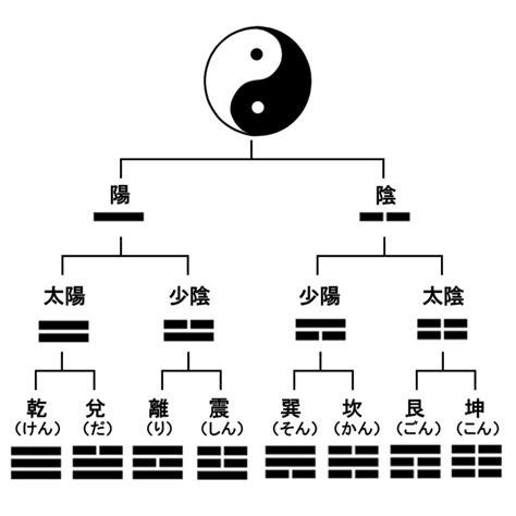 陰陽 八卦|太極から八卦ができるまで 